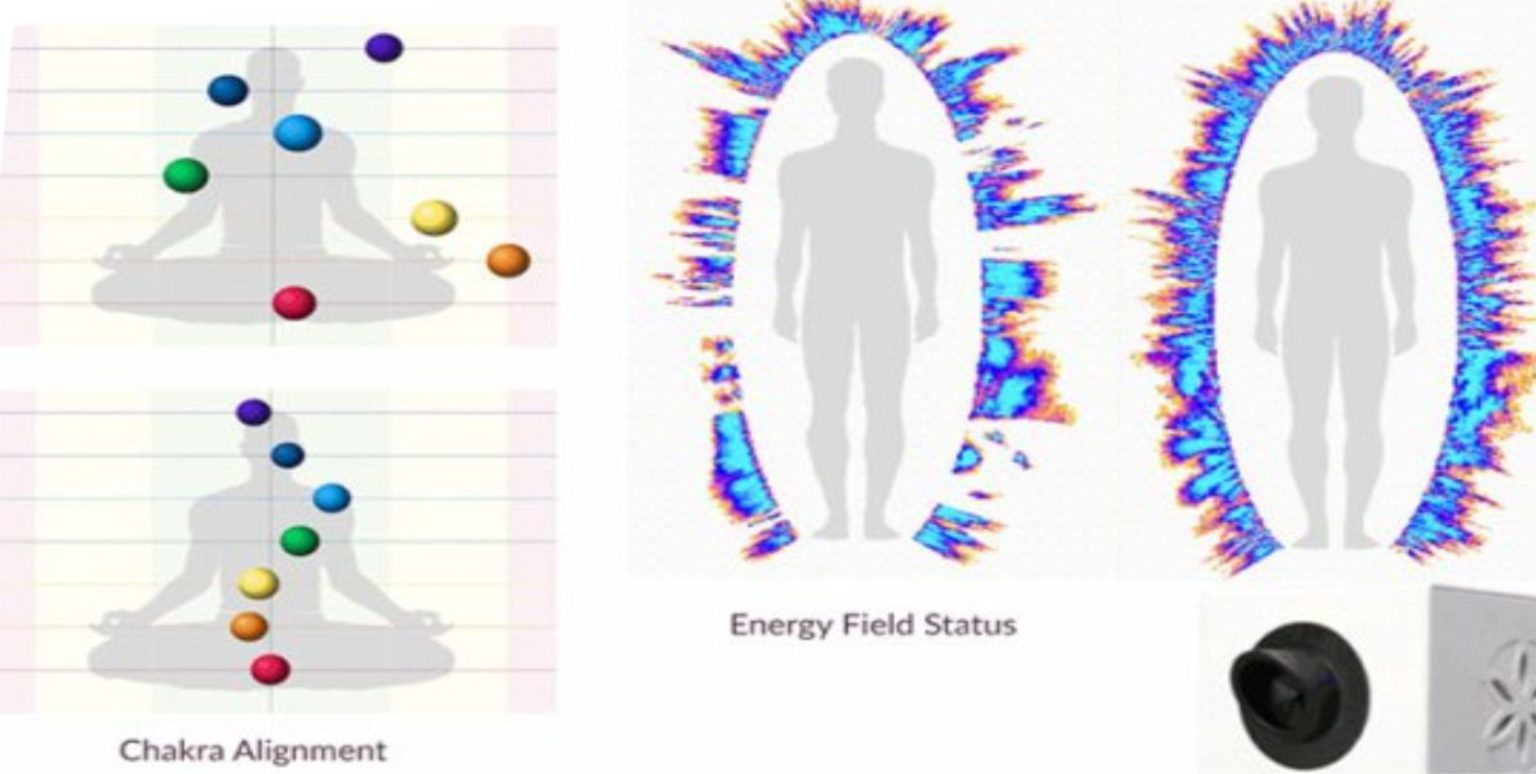 GDV Health Scan